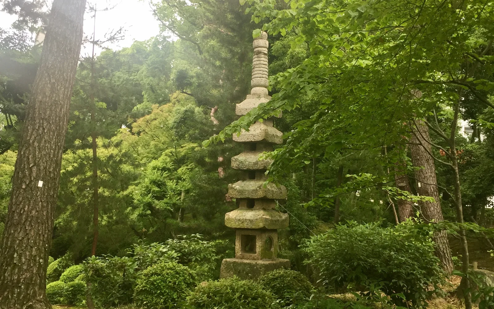 A Japanese garden with traditional design